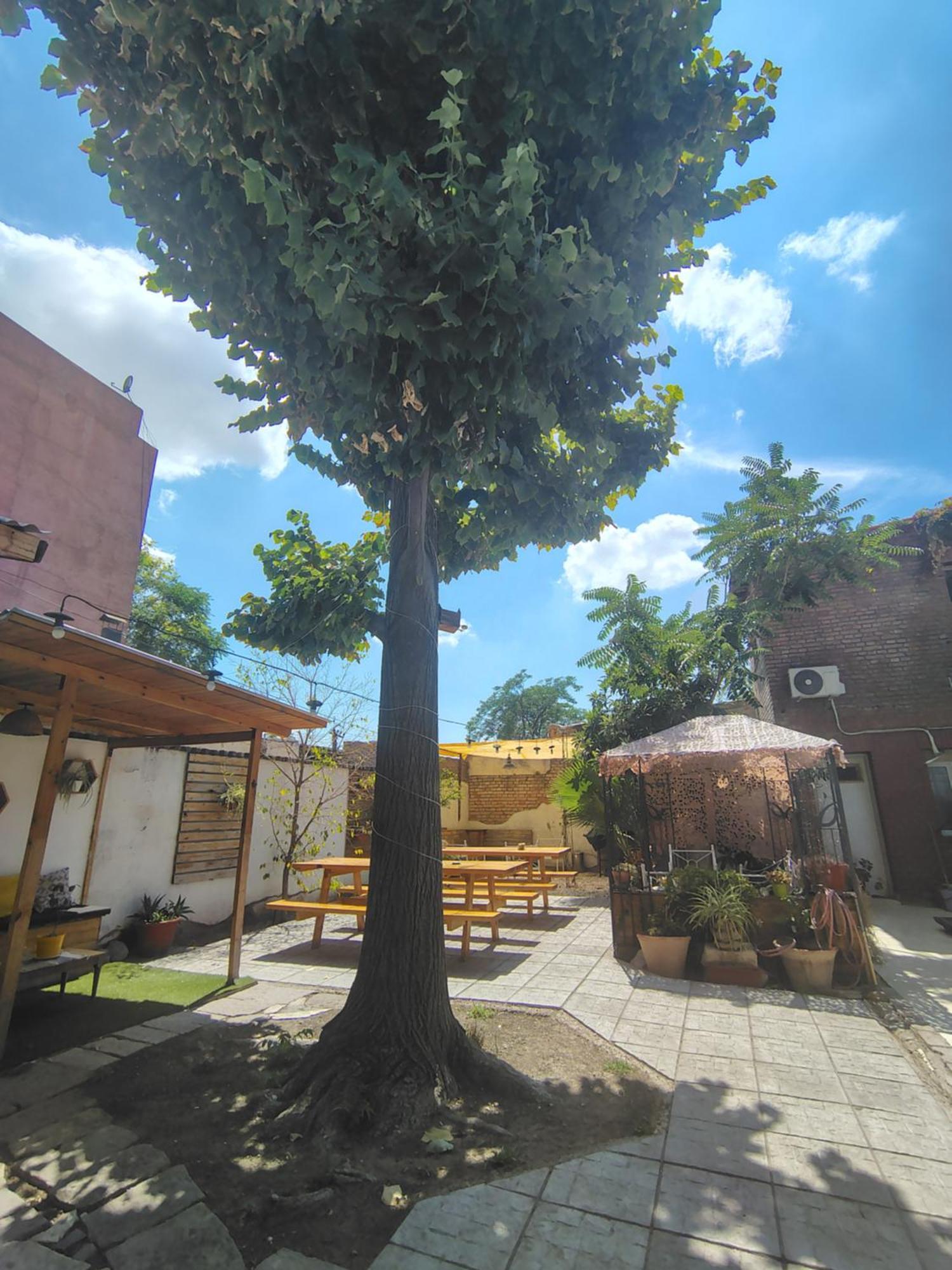 Mora Hostel Mendoza Exterior photo